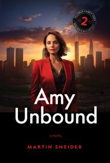 Amy Unbound cover